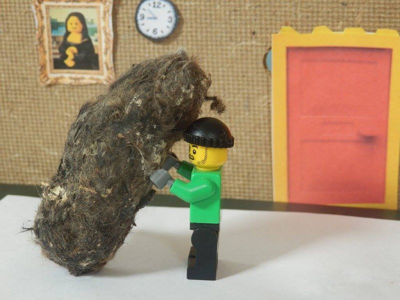 TinyBirder's Owl Pellet Adventure